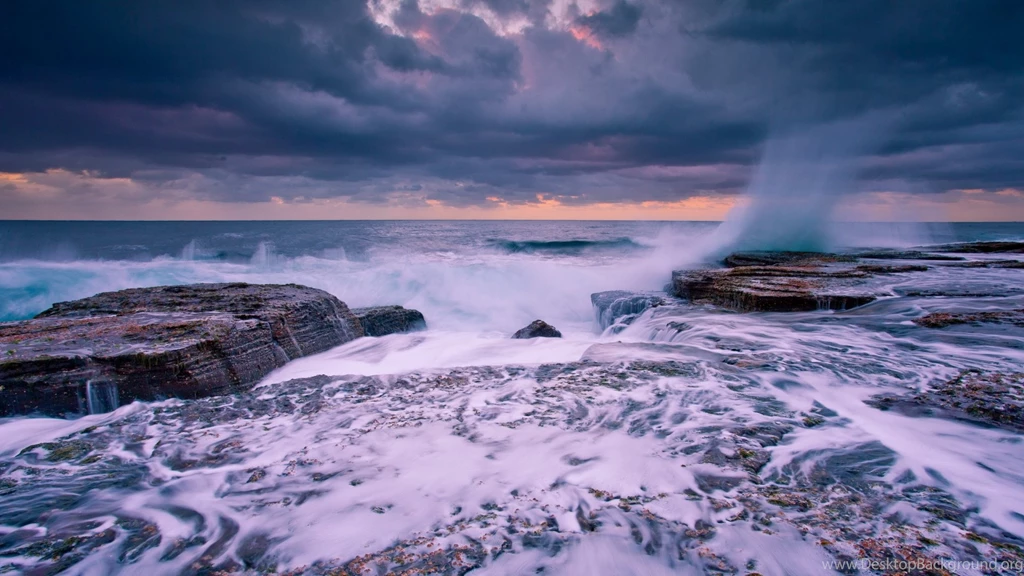 Full HD Wallpapers Grass Forest Moss Morning Siberia Russia ...