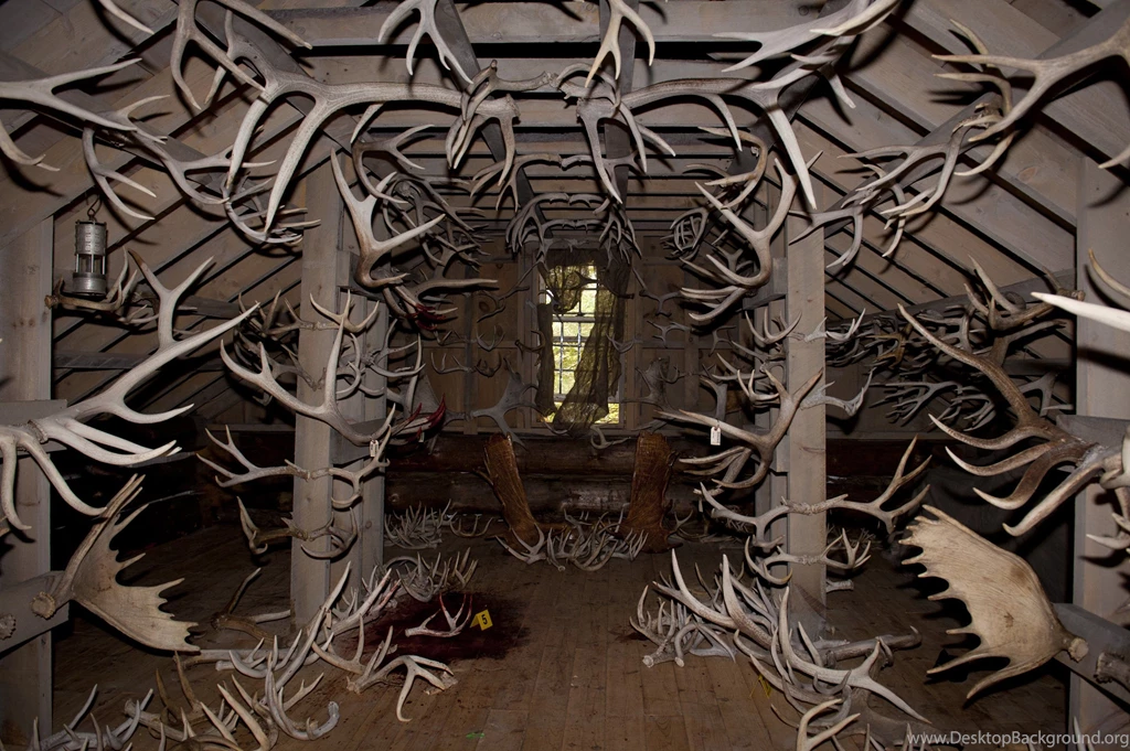 HANNIBAL Drama Horror Television Deer Evil H Wallpapers