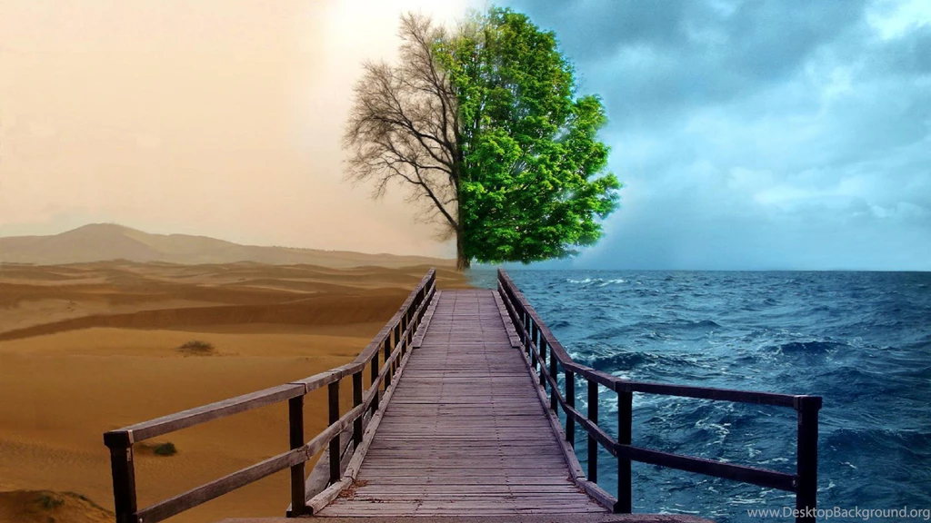 Photo Manipulation Hd Water Desert Tree Wallpapers   1522581