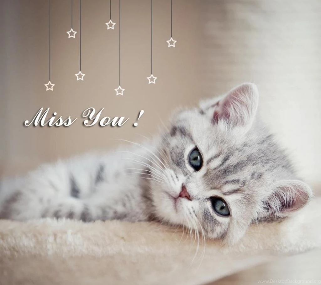 Kitty
