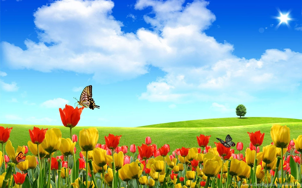 Desktop Wallpapers Gallery Computers Welcome Microsoft Computer ...