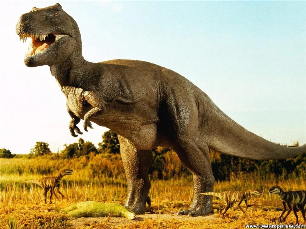 Desktop Wallpapers » Other Backgrounds » Prehistoric Times » Www ...