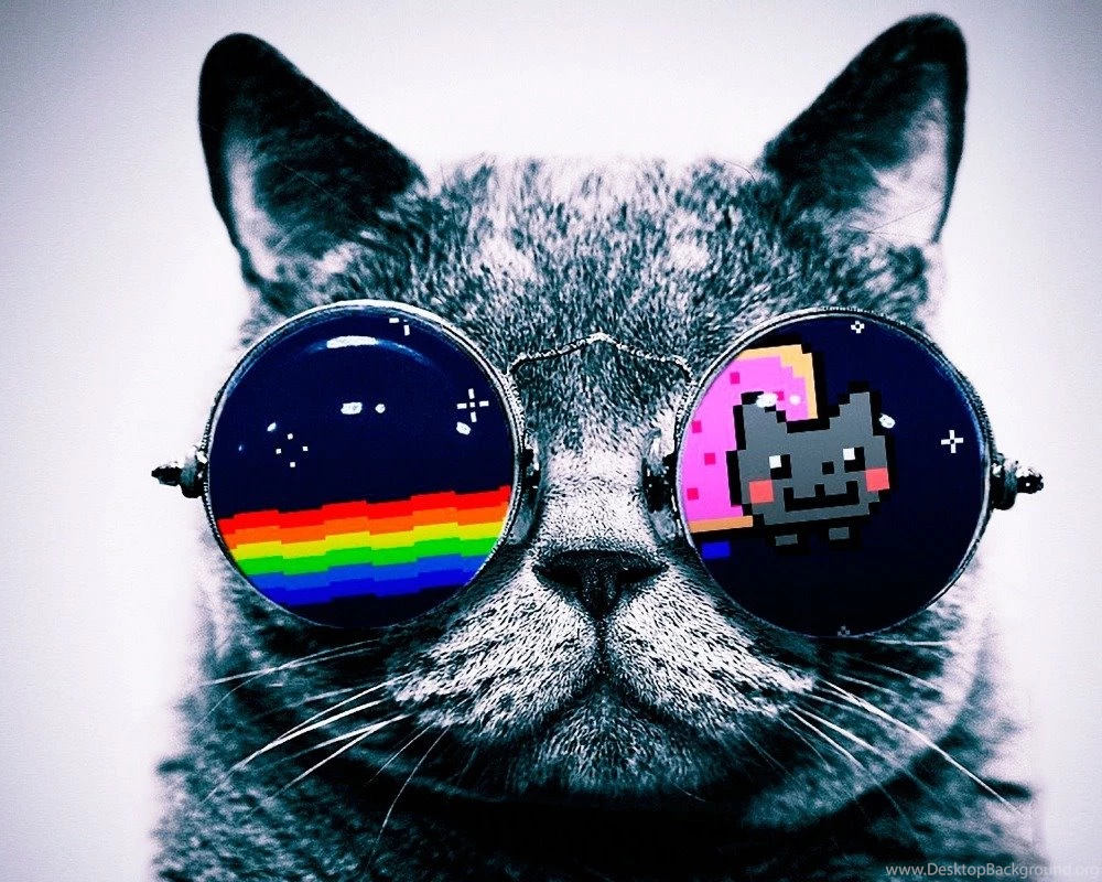 OEM Nyan Cat Glasses Kitten Kitty Funny Art Logo Home Office Wall ...