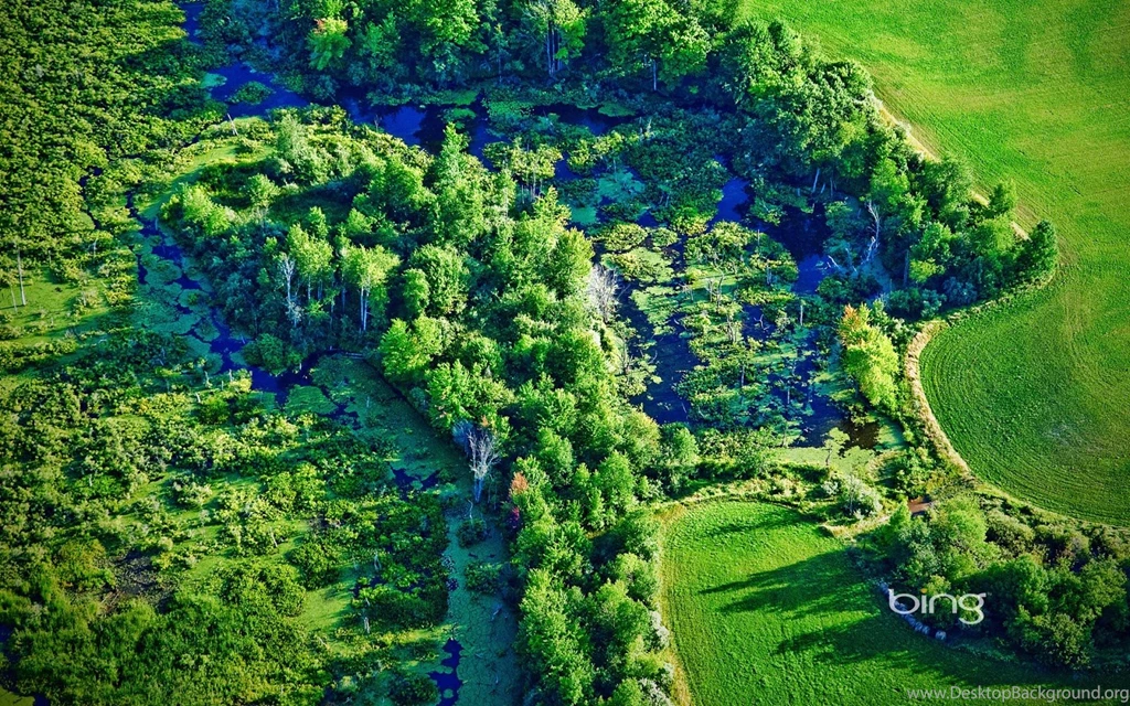 Bing Wallpapers [Daily]: March 2013