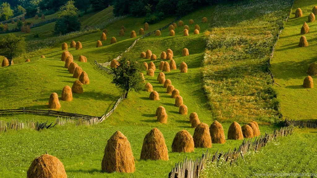 2014 06 24_HumorHay_ROW11391489378_1920x1080