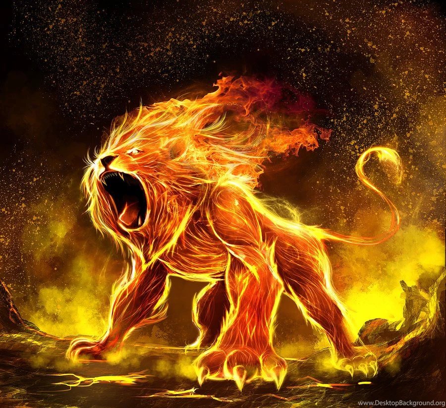 Leo Lion Pictures Wallpapers Hd Wide Desktop Background