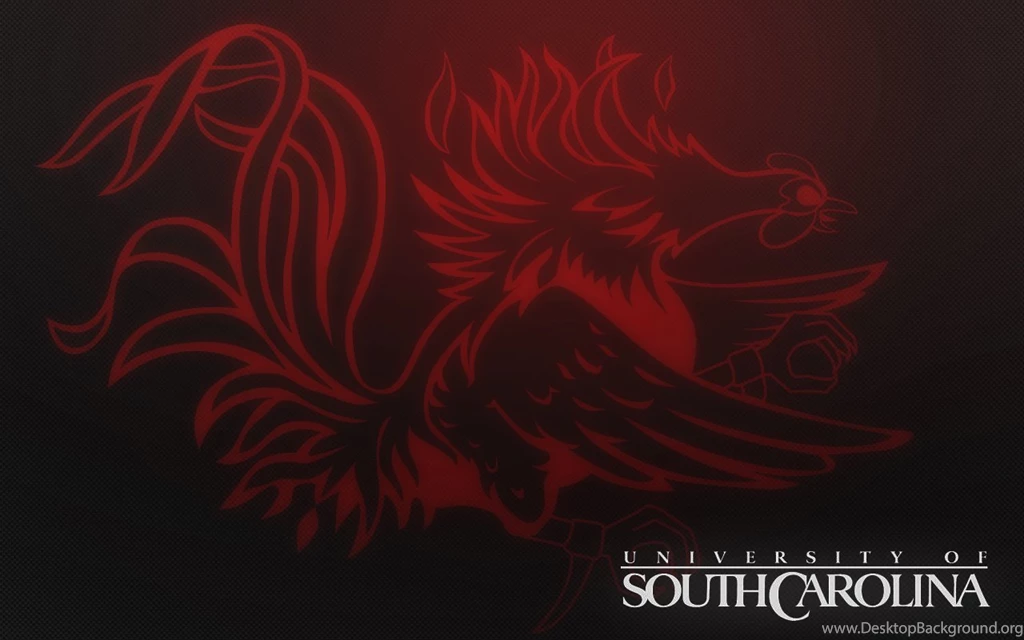 Carolina Gamecock Wallpapers   Wallpapers Cave