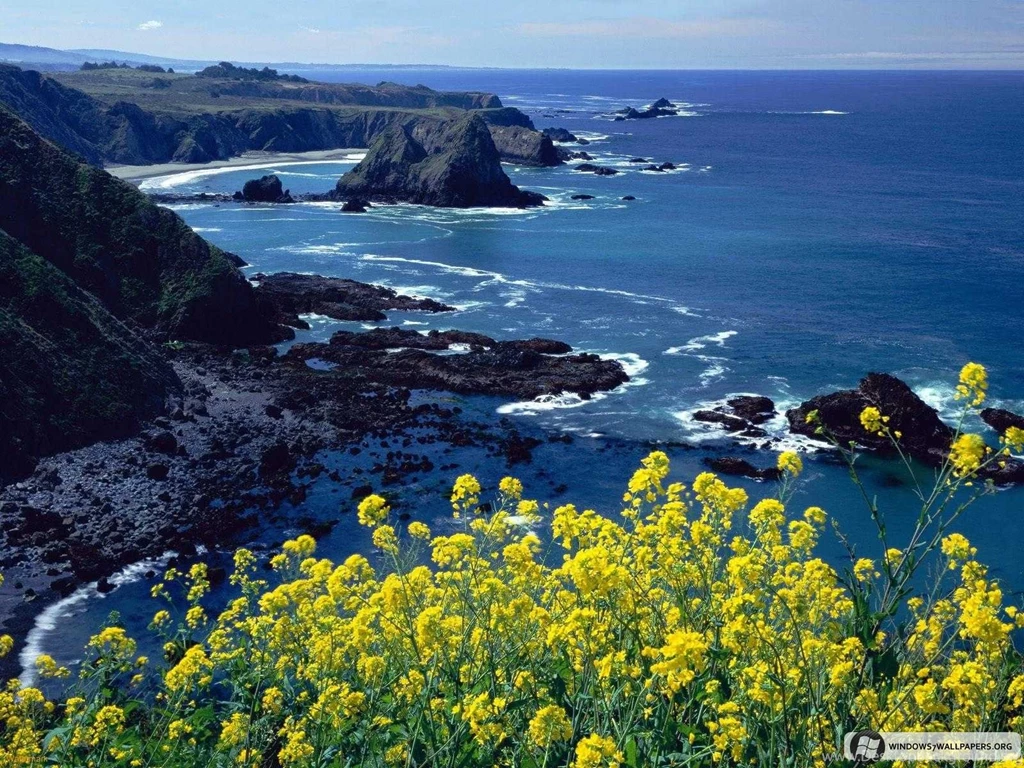 Free Wallpapers: Windows Hd Wallpapers Free Download