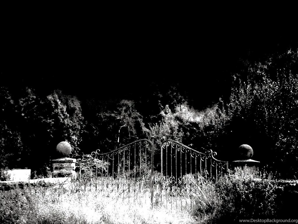 Voices From The Grave