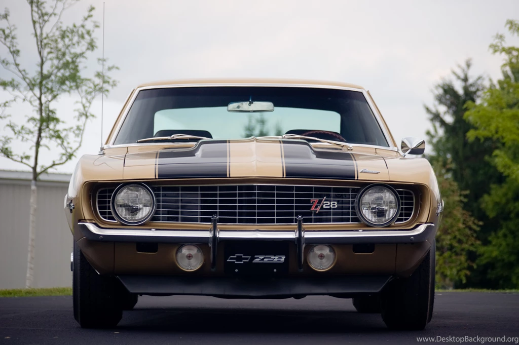 CAMARO MUSCLE CARS 2015 WALLPAPERS WALF1023