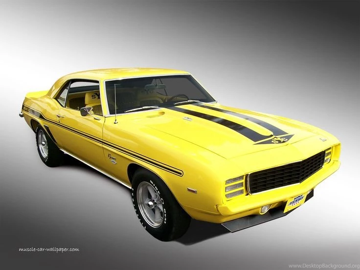 1969 Yenko Camaro. This Custom Camaro By Yenko With It's 427 Was ...