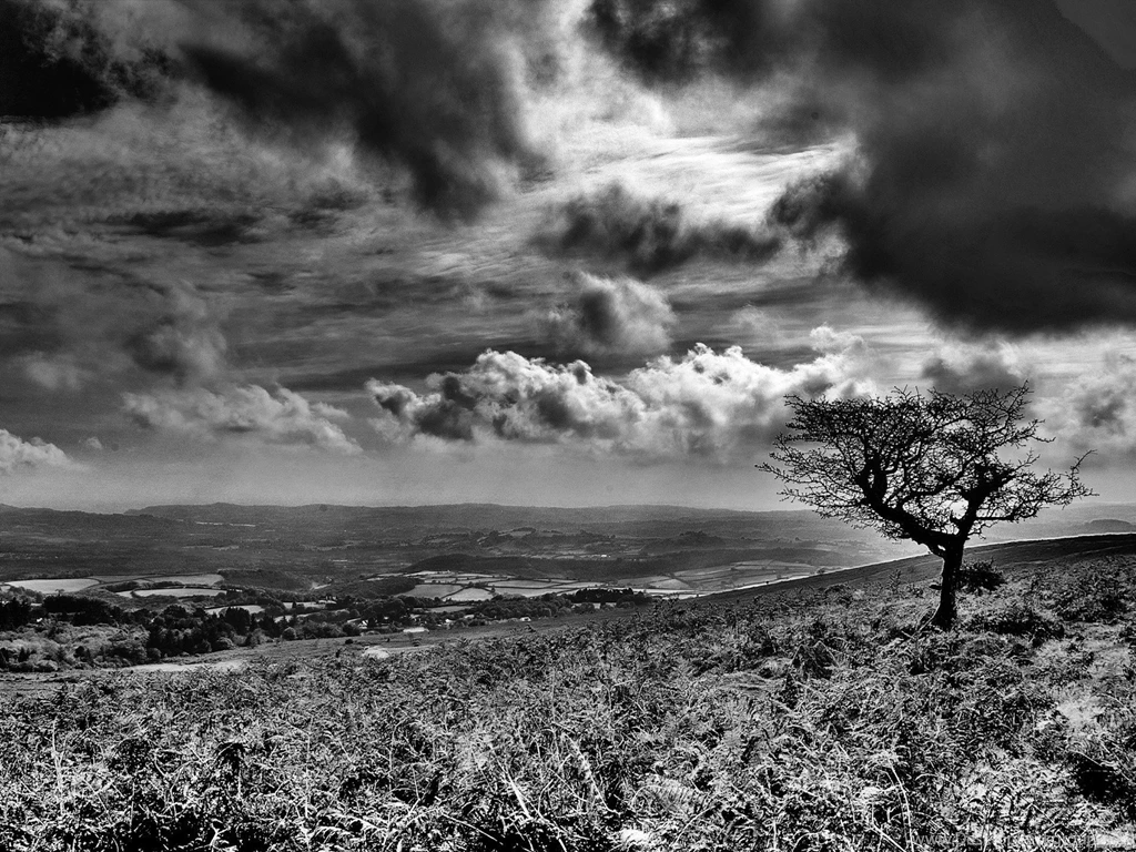 40+ Black And White Wallpapers Technosamrat