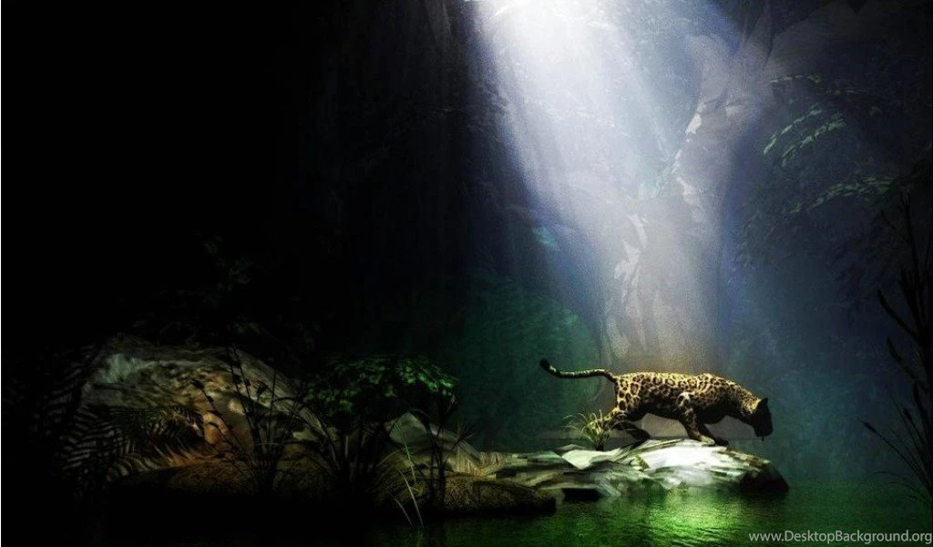 Best Desktop Wallpapers Sites HD Wallpapers Pretty