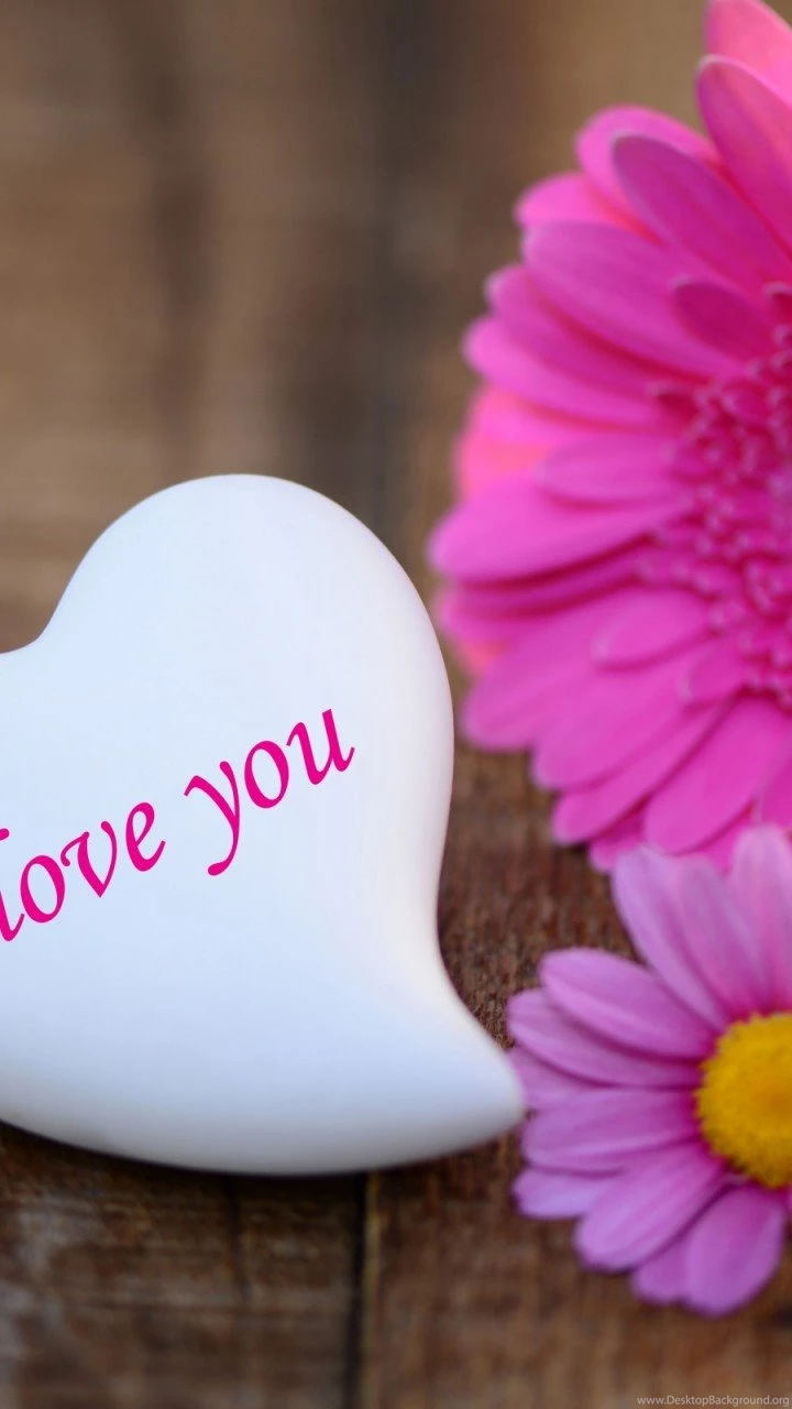 I Love You Wallpapers HD 720x1280 Wallpapers HD Wallpapers