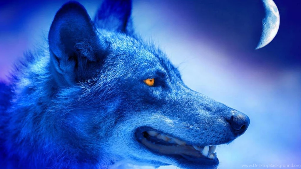 Wolf Neon Midnight Blue Cool Backgrounds