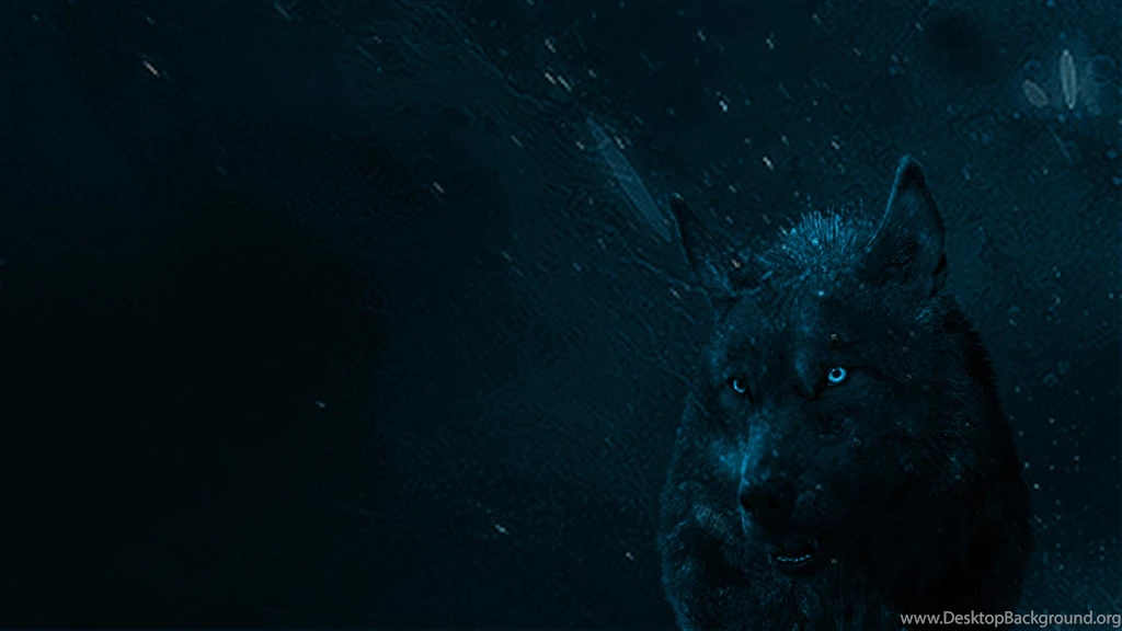 Blue Wolf Wallpapers   Imgur