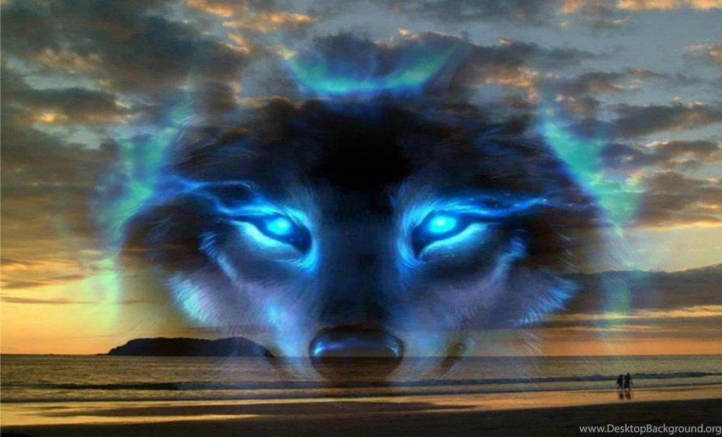 BLUE WOLF WALLPAPER (