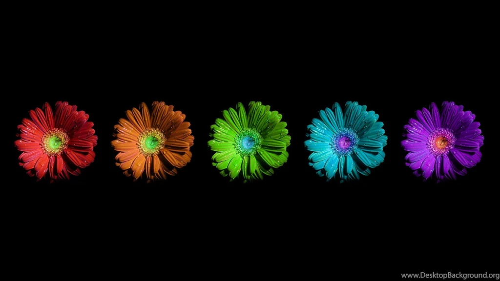 Keyword: Flower Wonderful HD Wallpapers WallpaperLayer.com