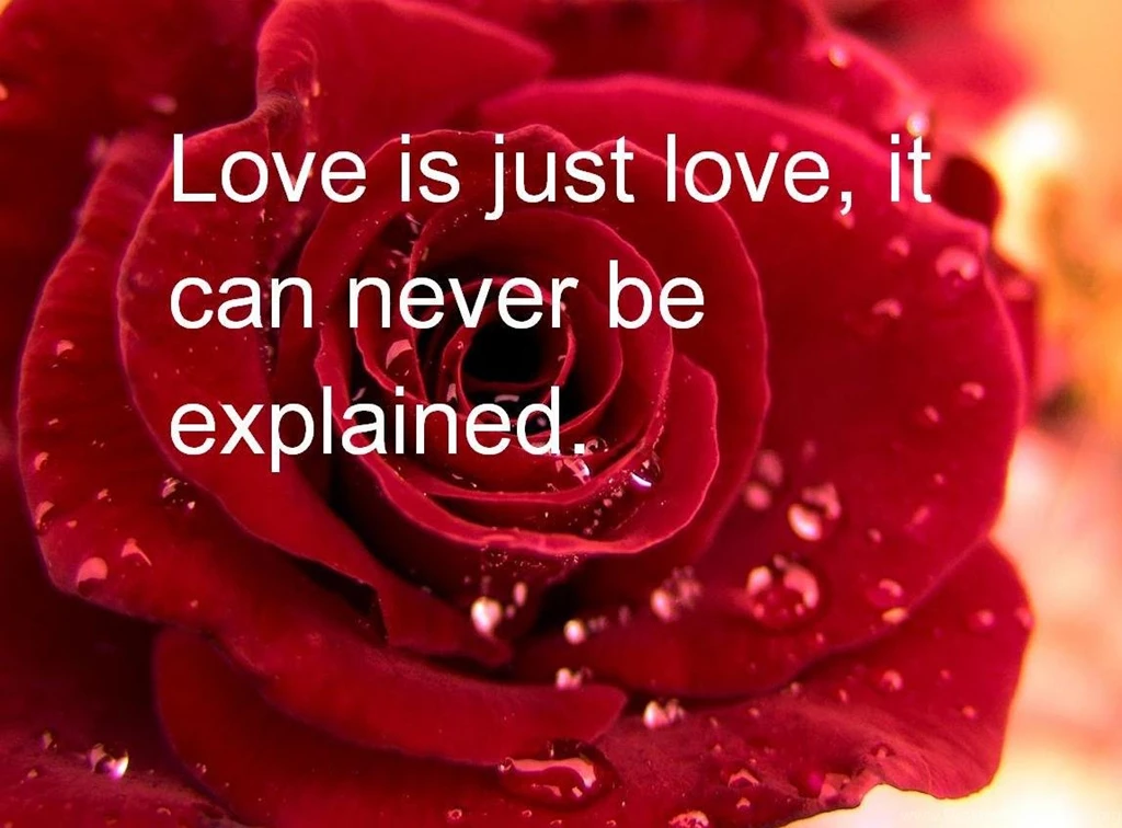 Happy Valentines Day Wallpapers 2016