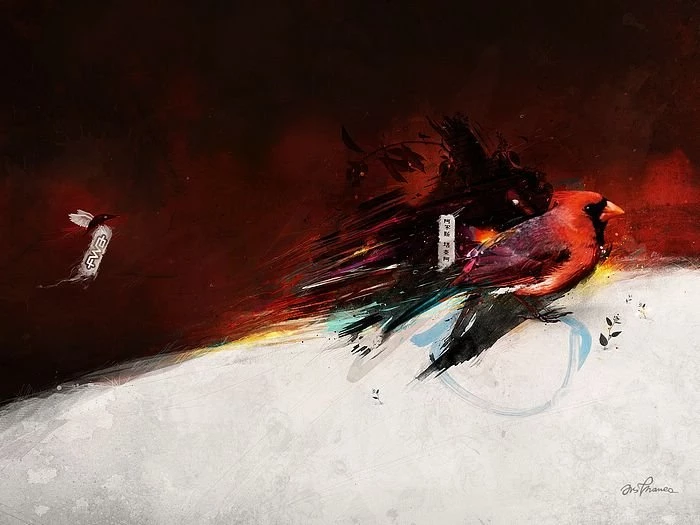 Red Bird   FWA Inspired Design Wallpapers 1920*1200 43   Wallcoo.net