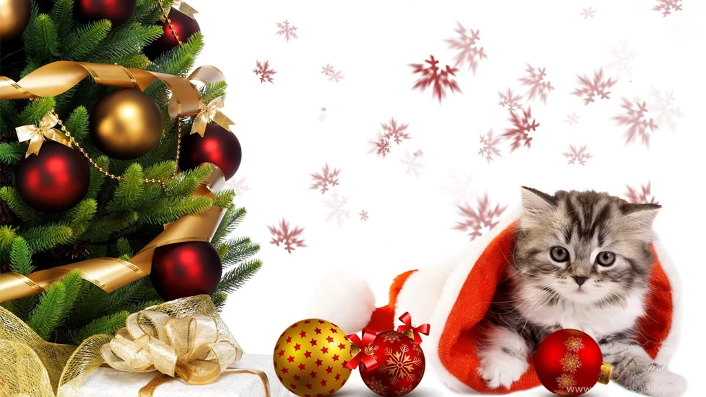 Christmas Tree Wishes HD Desktop Wallpapers : Widescreen : High ...