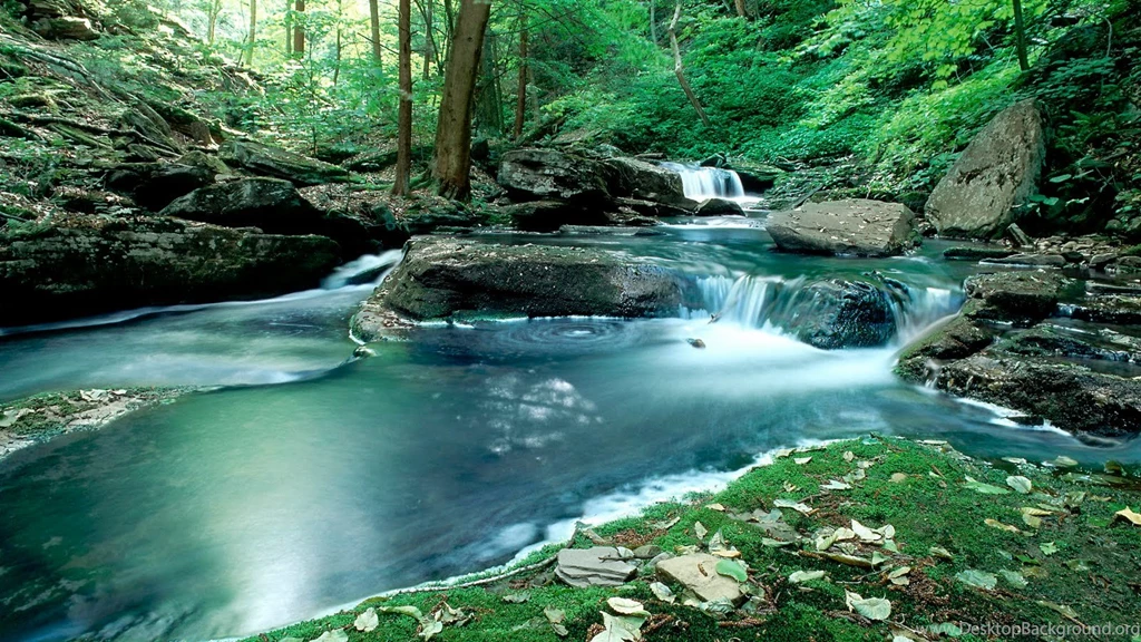 Desktop Nature Wallpapers Free Download All Wallpapers New