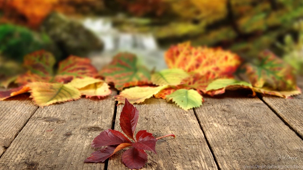 Autumn Leaves Falling Wallpapers