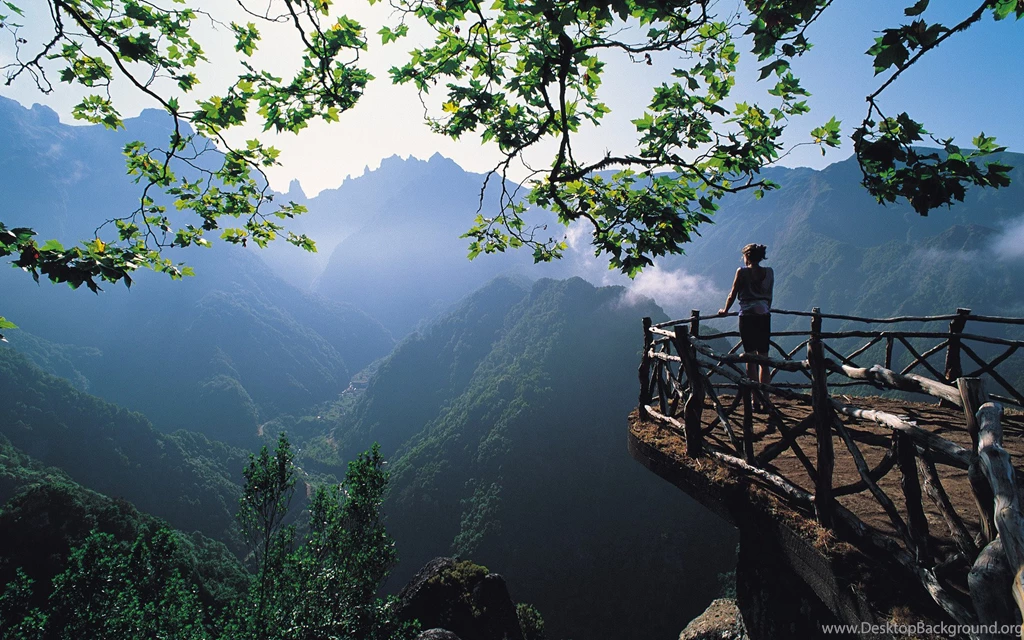 Madeira Islands, Nature, Beautiful, 1920x1200 HD Wallpapers And ...