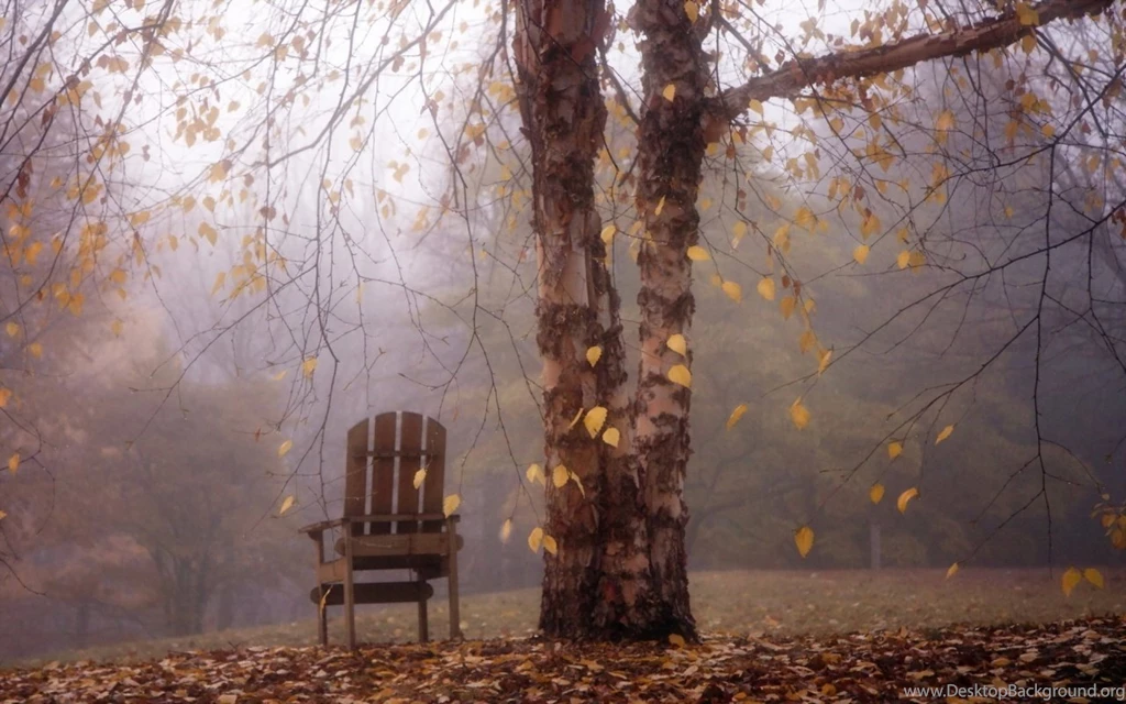 1280x800 Autumn Leaves Falling Over Chair Desktop PC And Mac Wallpapers