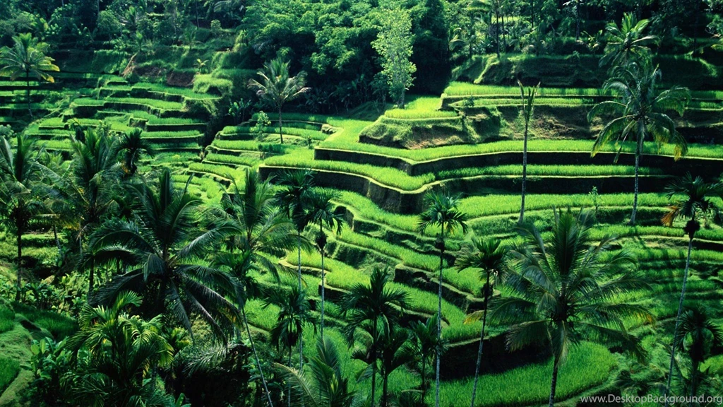 High Definition Pictures Of Nature With Bali View In Indonesia ...