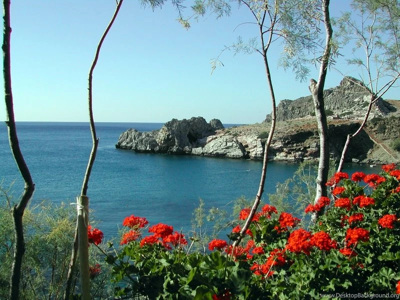 Agiospavlos_DM_2004_IMG005_Blick_aufs_Krokodil.jpg