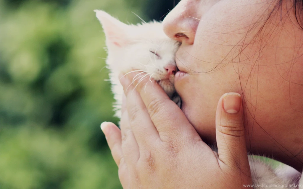 Girl Kissing Small White Cat Wallpapers