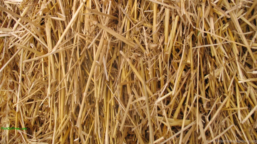 Straw Backgrounds Ten