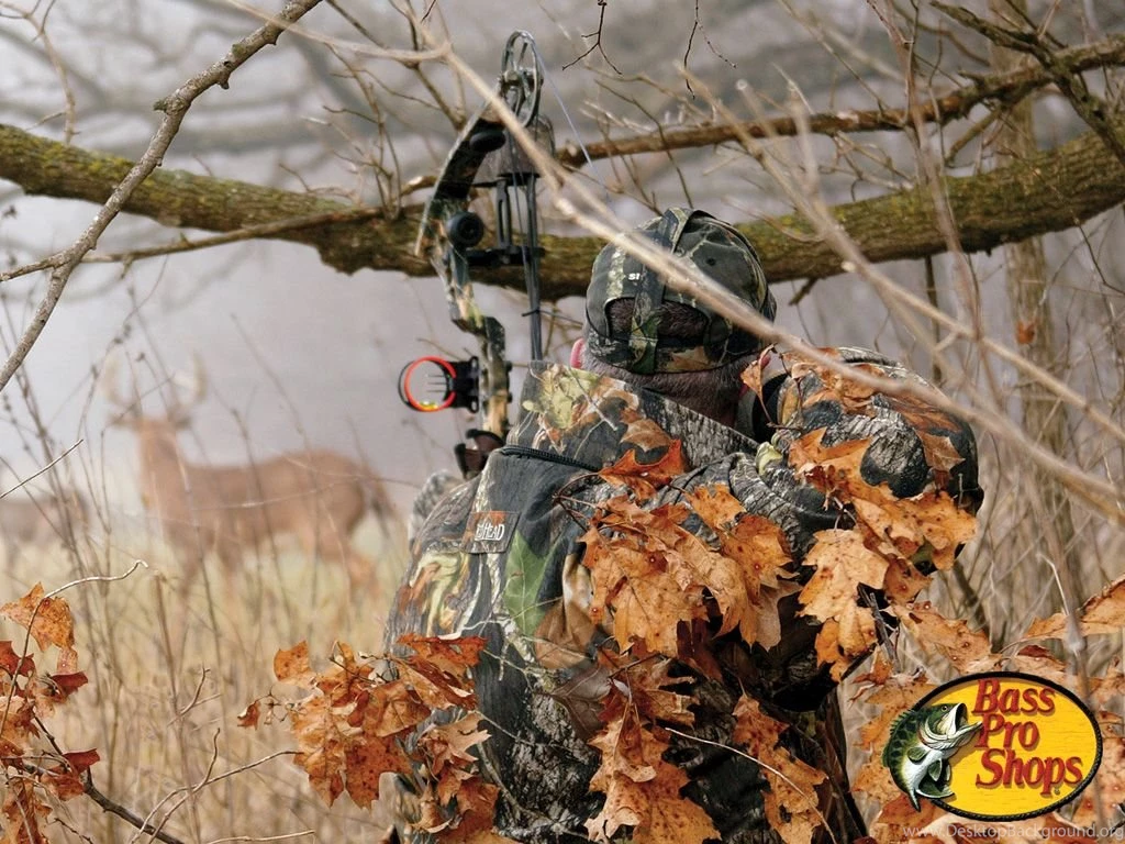 Justpict.com Deer Bow Hunting Wallpapers
