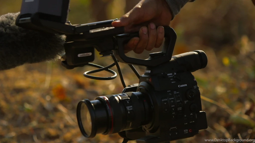 Wildlife Photography & Filmmaking