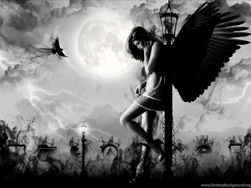 1280x960px 595.82 KB Dark Angel