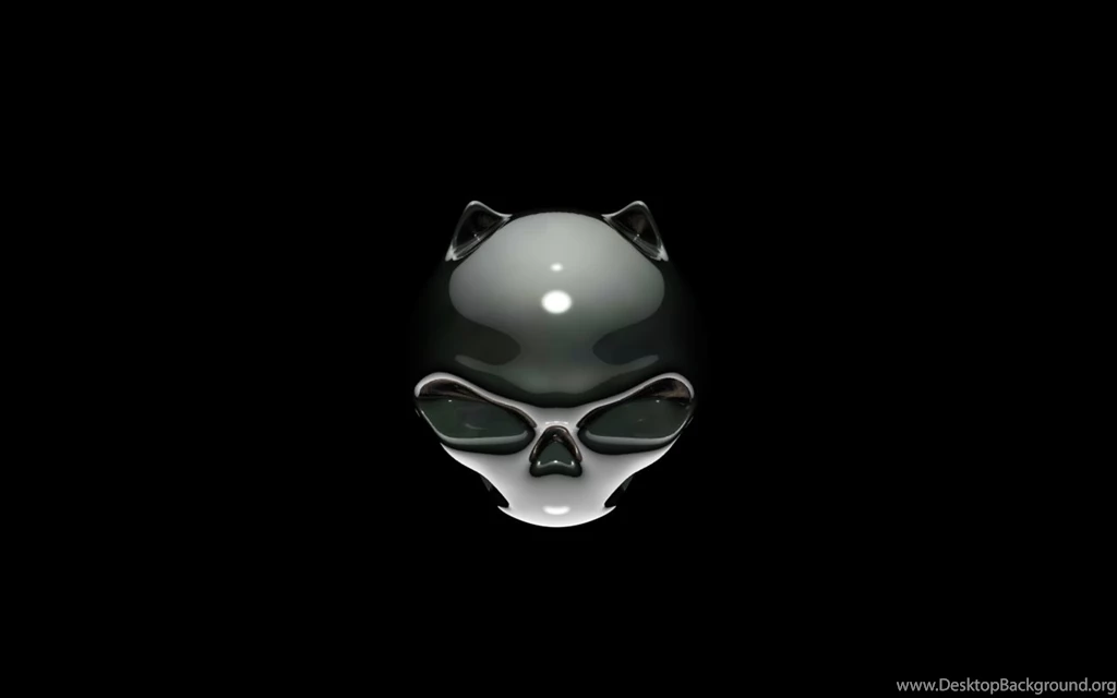 Cat Skull Wallpapers 209813