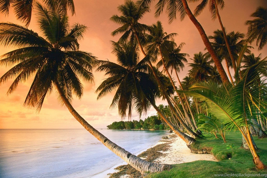 Caribbean Ocean Picture, Caribbean Ocean Photo, Caribbean Ocean ...