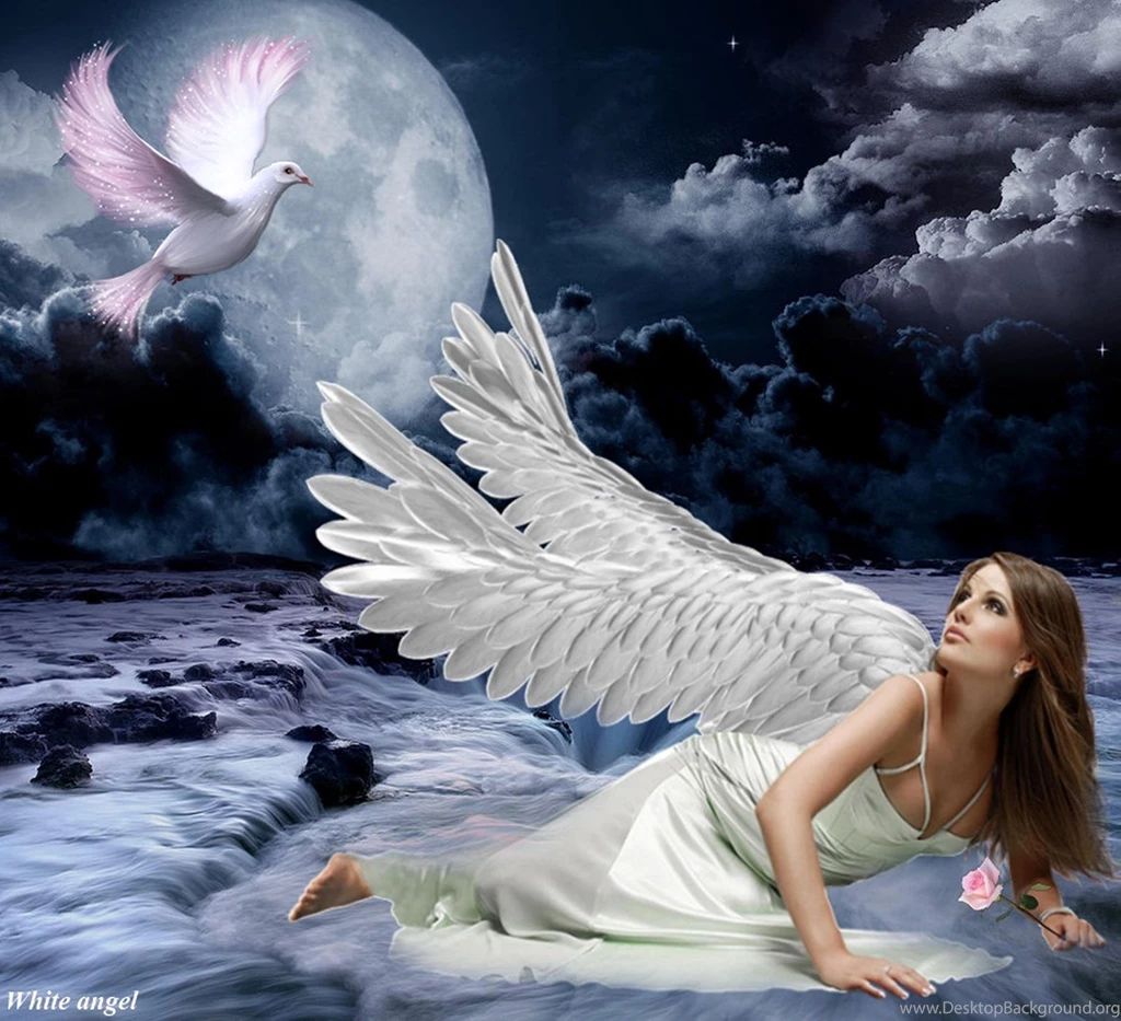 White Angel >> HD Wallpaper, Get It Now!