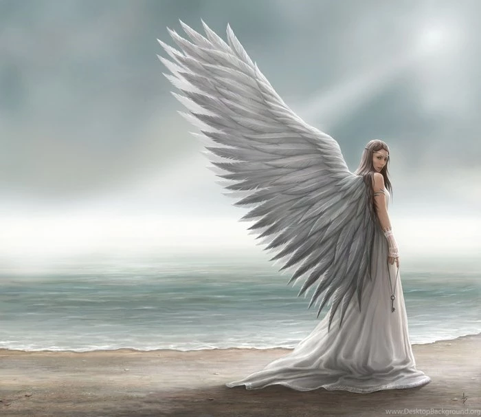 White Angel Wallpaper Images Background, Profile Pictures Of
