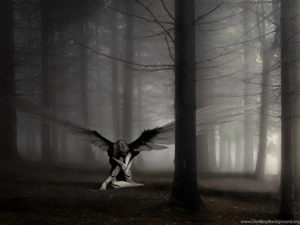 Angel Normal 1024x768