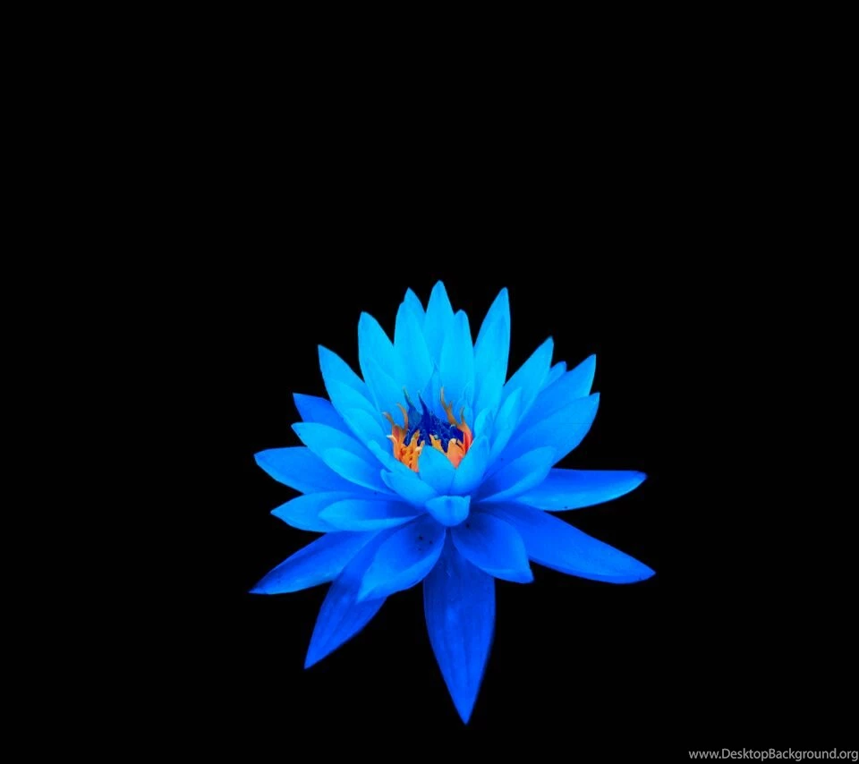 6/30]Xperia S, T, Z & I1 (Honami) Wallp…