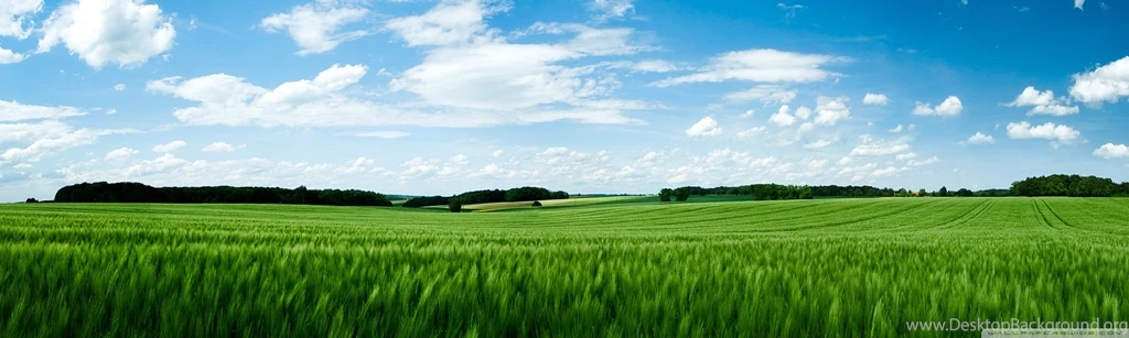 8589130579759 green field creen wallpaper hd.jpg