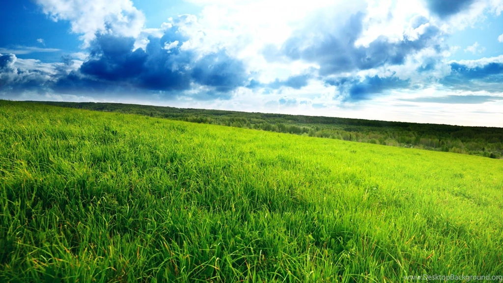 1920x1080 Green Field Desktop PC And Mac Wallpapers