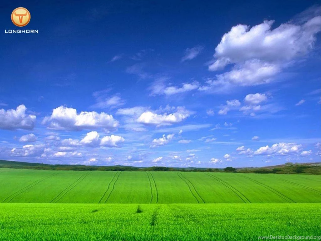 Wallpapers Green Field 1024x768