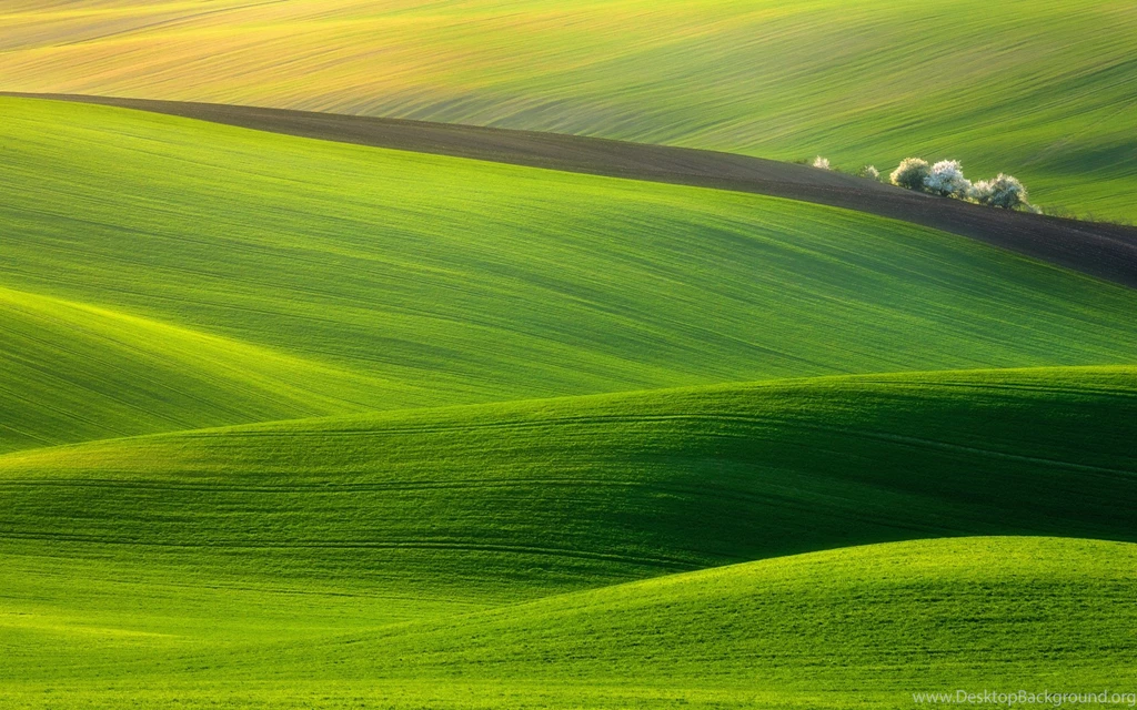 Spectacular Green Field Wallpapers