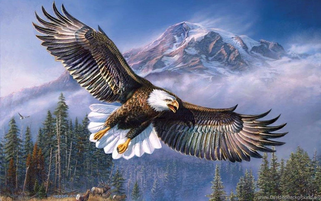 BY JAMES MEGER BALD EAGLE WALLPAPER (