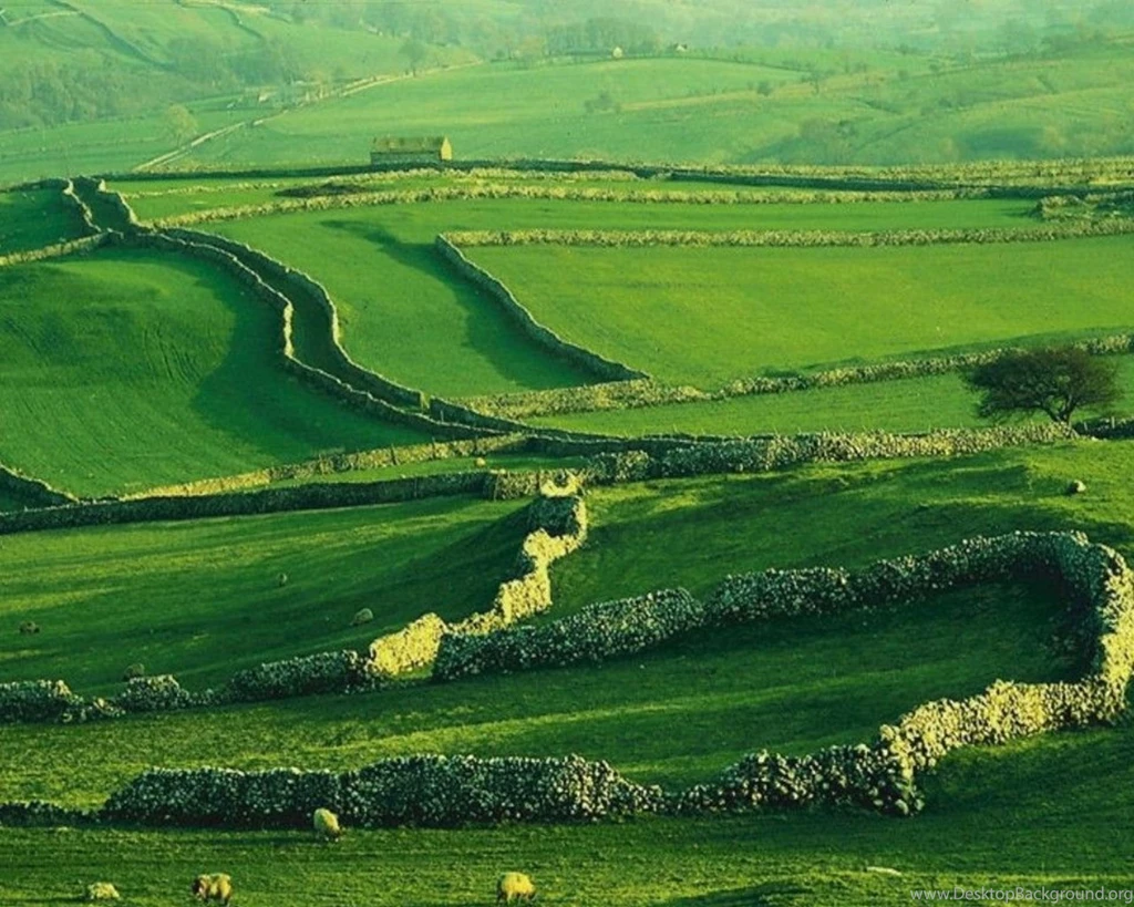 Green Fields Green Wallpapers (20340137) Fanpop