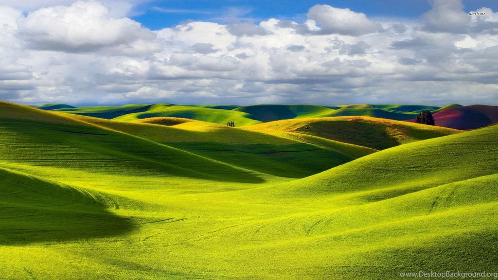 Green Fields Wallpapers Nature Wallpapers