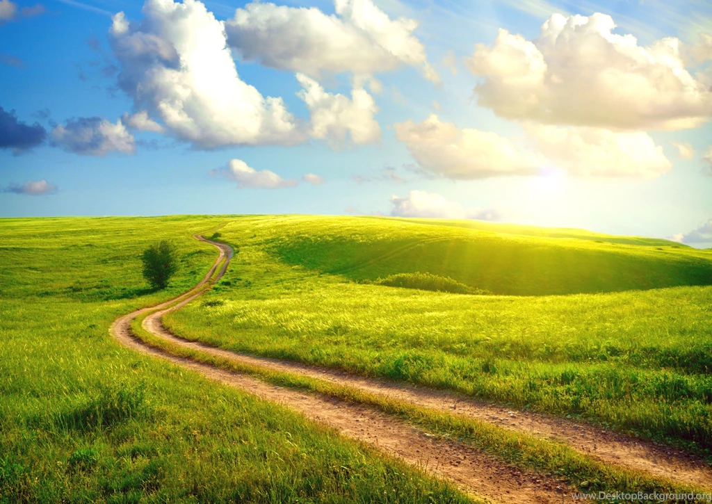 Green Field Under The Summer Clouds Wallpapers And Images ...